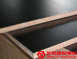 木模板的材料有哪些？各自有什么特點(diǎn)？